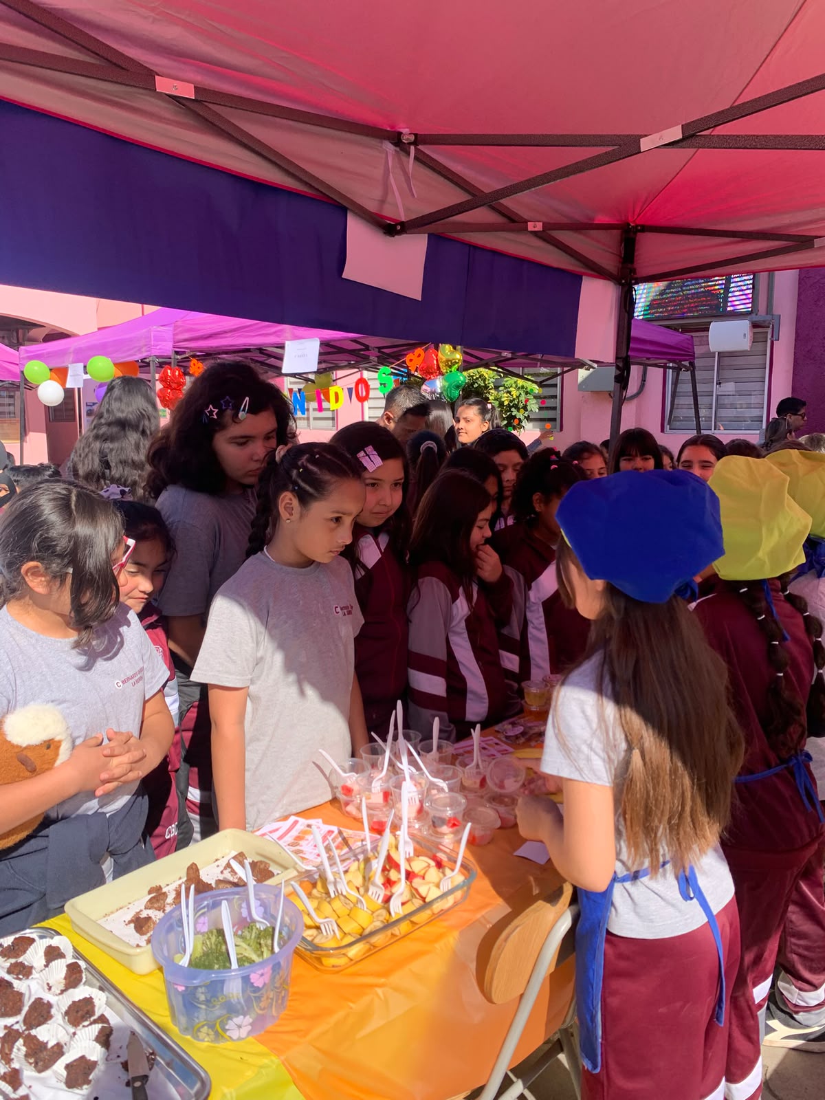 Feria Vida Saludable 2026 - CBO La Serena