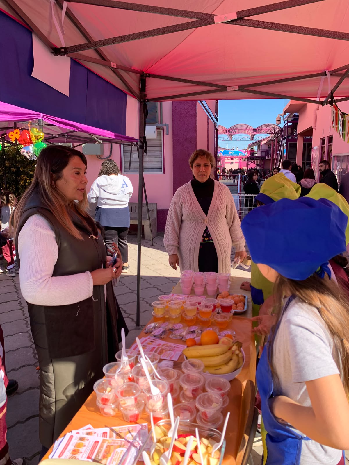 Feria Vida Saludable 2026 - CBO La Serena